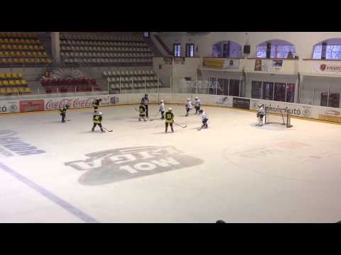 Miskolci Jegesmedvék - KSI EK jégkorong mérkőzés I.harmad. 2015.01.18