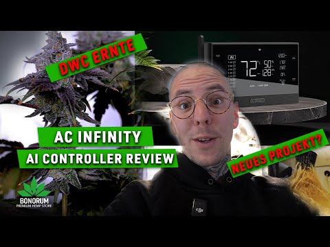 Wizard Trees DWC Finale! Harvest, new project & AC Infinity AI Controller review!