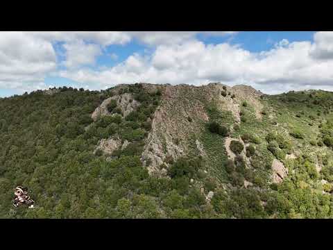 Pattada Wild Trail - Corsa in montagna sul Lerno 2025