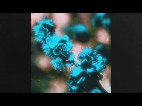 [FREE] So La Lune x Zamdane Type Beat - particular | Guitar Melodic Instrumental