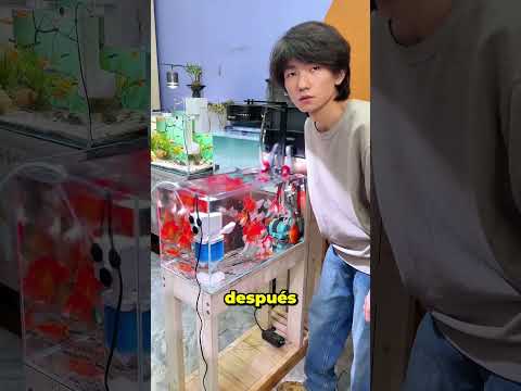 A Este Chico Se Le Cayó La Comida En El Acuario 😲