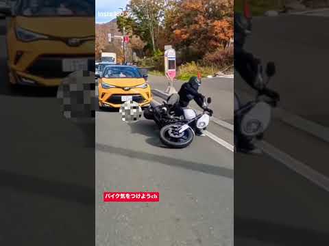 仲間がキャンプツーリング中に追突された #ツーリング #バイク #ハーレーダビッドソン #北海道ツーリング
