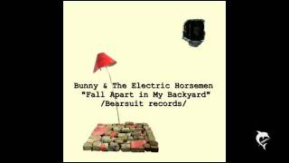 Bunny & the Electric Horsemen-Chikyu Wa...  /alter. version/