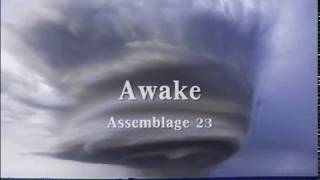 Assemblage 23 - Awake