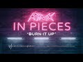 Rynx - Burn It Up