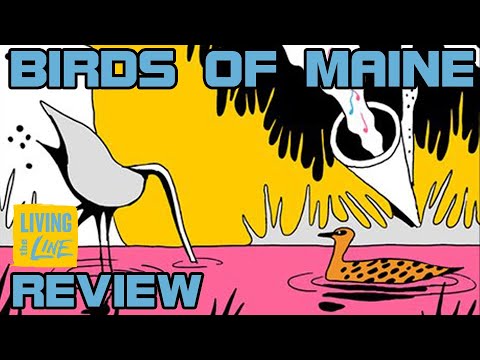 Michael Deforge - BIRDS OF MAINE - Review