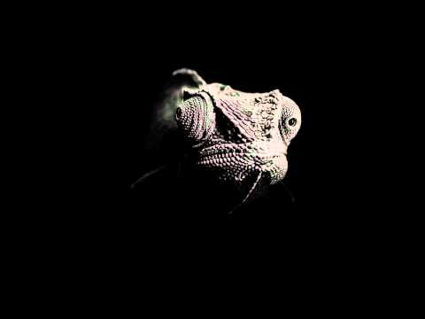 Coldfish - Black Chameleon (Original Mix)