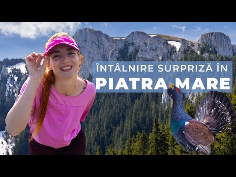 Printre Stânci și Flori | Prăpastia Urșilor | Cabana Piatra Mare | Canionul 7 Scări | Piatra Mare