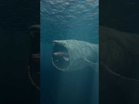 Fish Eat Fish | Nothosaurus vs Great White Shark Vs the bloop 😱