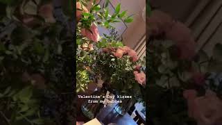 Victoria Beckham Valentine’s day