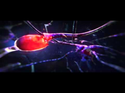 Zoolander 2 (2015) | Teaser Trailer [HD]