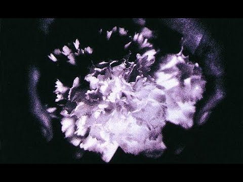 She's A Baby video thumbnail