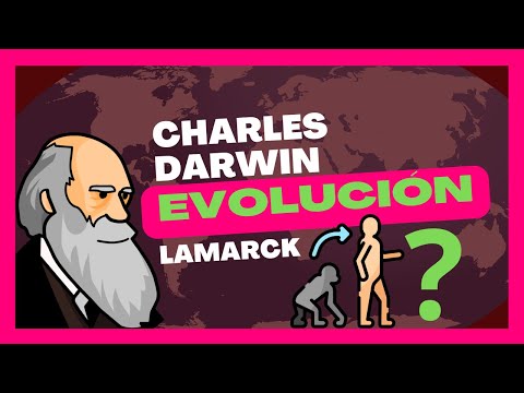 Theories of evolution | Fixism, Lamarck, Darwin (Explanation 2025)