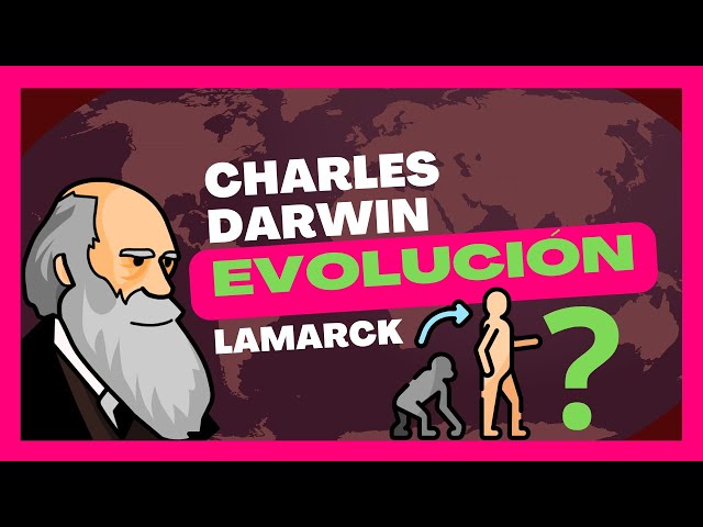Vídeo relacionado con Evolucionismo y darwinismo en Málaga: 43 (Textos Mínimos)