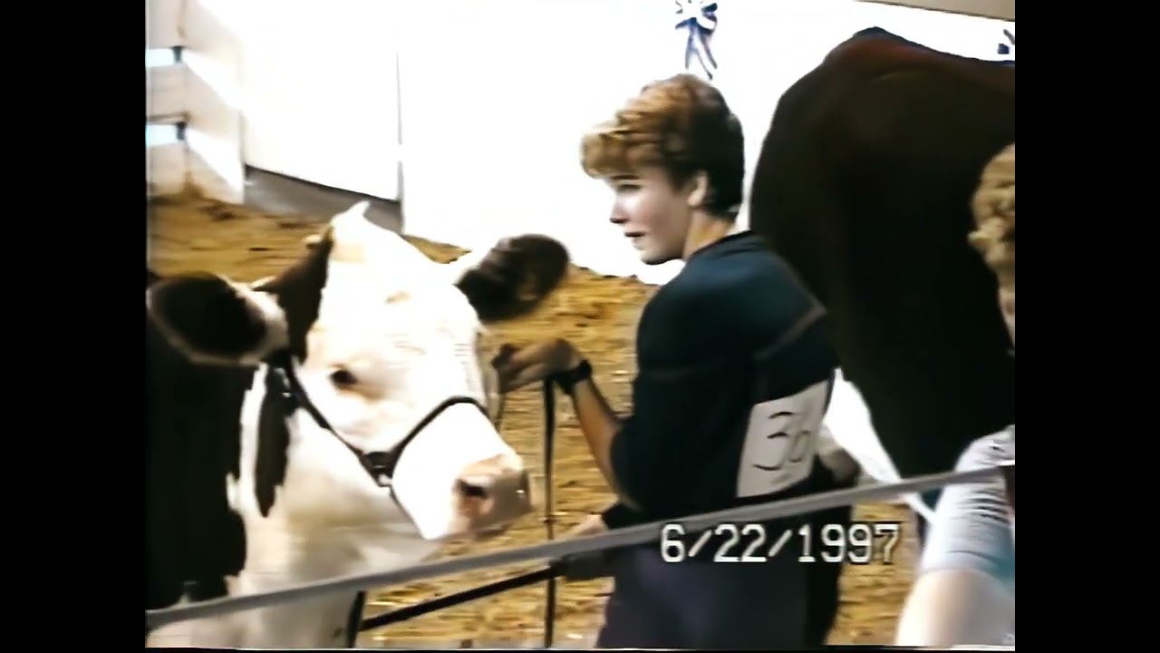Erin Williams Cattle Show Lebanon, IN Fairgrounds 97