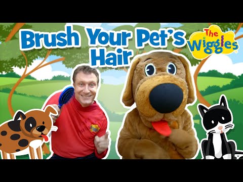Video thumbnail for Brush Your Pets Hair