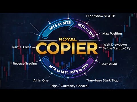 Video Royal Copier Master Mt5