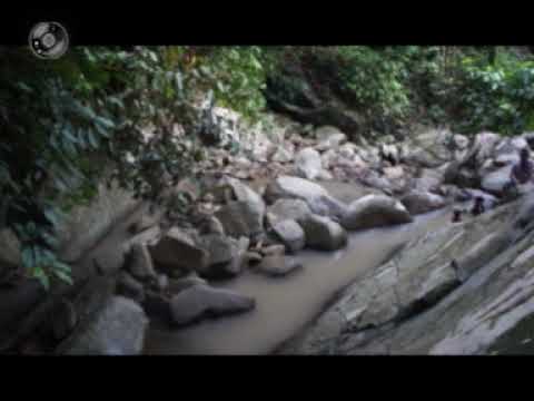 Jounis Mantahan - Pampang Wasai Kionsom