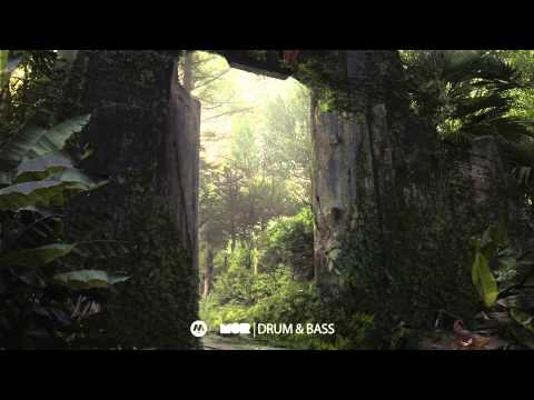 J.Robinson Feat Knowledge - Pogo