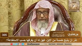 صورة نذر أن يذبح خمسة من الإبل، فهل له أن يفرقها حسب الاستطاعة؟ الشيخ صالح الفوزان