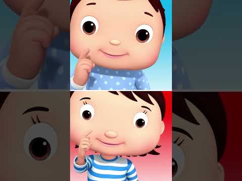 Wiggle 1 Little Finger! ☝🎵 #fingerplay #song #fun