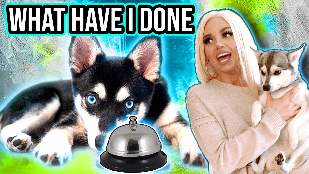my dogs use bells to speak to me