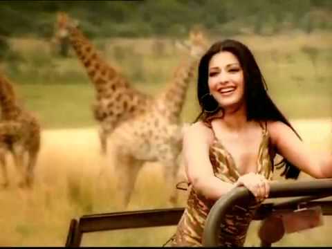 Tum husn pari tum jaane jahan lyrics Tum husn pari tum jaane jahan lyrics