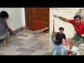 Bht Bara Dragon Lizad Pakar Liya Ghr Mein Gos Aya