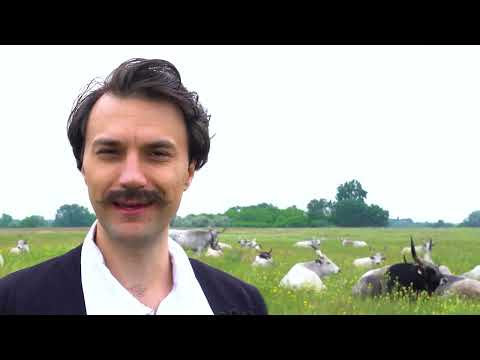 Petőfi 200 - Petőfi Sándor: Szülőföldemen