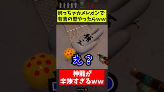 めっちゃカメレオンでｗｗ願い事した結果ｗｗ　#めっちゃカメレオン  #配信者 　#お笑い