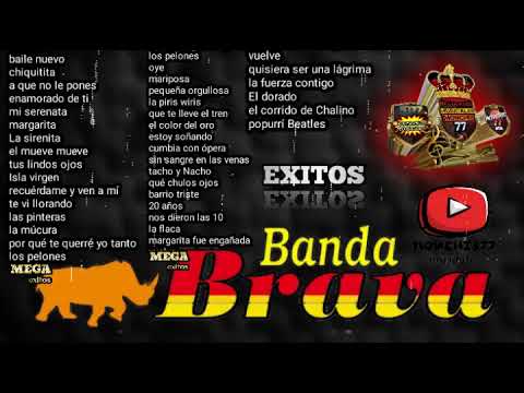 mega exitos 🤠con la banda brava