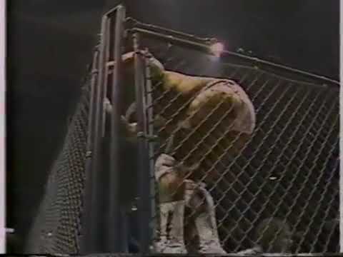 Strike Force & Macho Man Randy Savage vs. The Hart Foundation & Honky Tonk Man