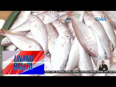 Presyo ng mga isda sa Malabon Fish Port, bumaba UB