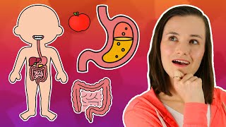 The Digestive System Song | Body Systems for Kids | Educational Kids Songs