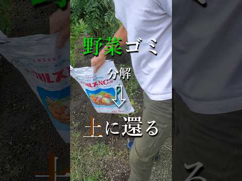 堆肥に肥料を入れてもいいですか？何のために ？避けるべき間違いは何ですか?  庭園