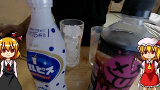 【ルーミアの食レポ】NOPEカルピス【飲んでみた】#ルーミア　#nope  　#料理