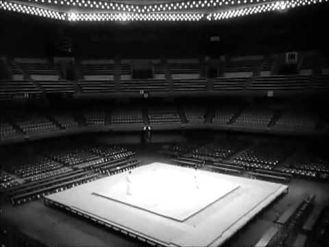 Judoka by Doug Rogers (FULL)