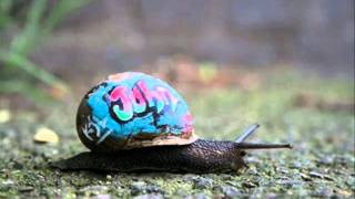 Slow Moves (José González cover) SCIOCCO