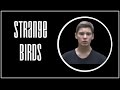 Birdy - Strange Birds - Cover by Oleg Antonenko ...