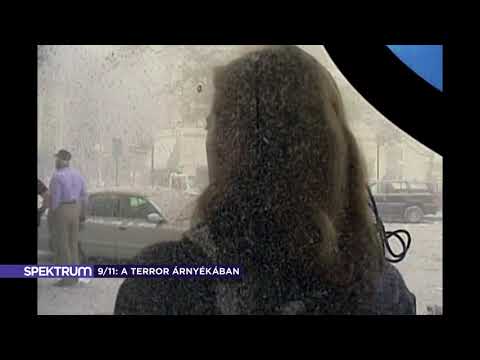 9/11: A terror árnyékában