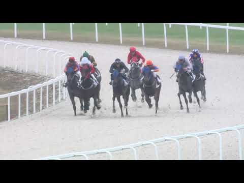 2019.11.10 08. futam - NAGYKÍGYÓ HENDIKEP (V/b.) (szintetikus pálya)