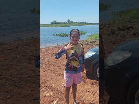 Borá buscar os #tucuna e as #corvina #pescaria #rio Paranapanema inajá PR
