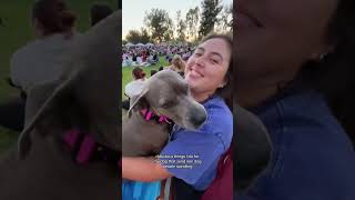 Ridiculous Things I Do for My Dog 🐶 #dogshorts #funnydogs #dogvideos