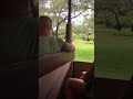 Safari Disney Ep3