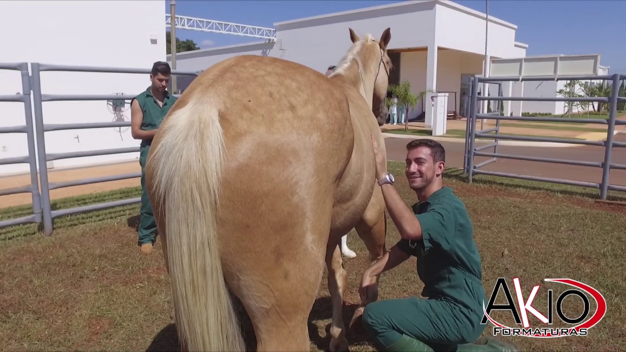 TURMA 1 MEDICINA VETERINÁRIA UNIPAM