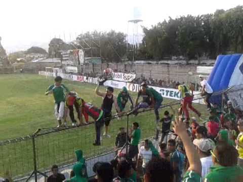 "Furia Verde-Esto No Es Marathon Siendo Campeon,Es Marathon Perdiendo" Barra: Fúria Verde &bull; Club: Marathón