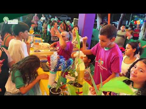 Projeto Jovens Empreendedores 2025, Palmeiras do Tocantins-TO.