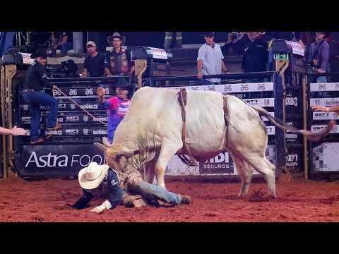 RODEIO da EXPOUMUARAMA 2026 - MELHORES TOUROS | QUINTA FEIRA