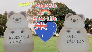 次回の動画について