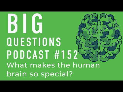 What makes the human brain so special?